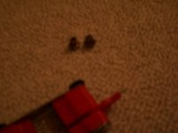 IMGP0531.jpg