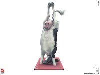 Q - yoga3.jpg