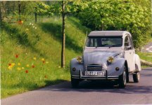 2 CV in Tulpenauffahrt.jpg