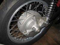 IMG_1230.jpg