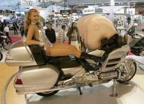 Goldwing.jpg