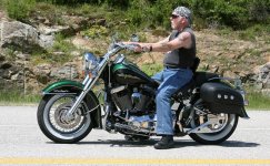 harley-gruen-large.jpg