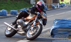 Schwanen 05.jpg