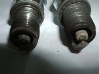 DSCF0001 (Large).jpg