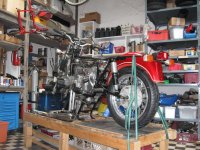 IMG_0255.jpg