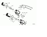 halter1.jpg