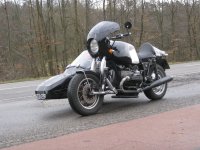 IMG_2937.jpg
