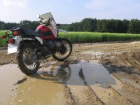 GS P:D.jpg