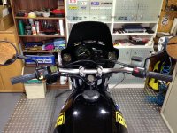IMG_1273.jpg