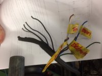 kabel1.jpg kabel1.jpg