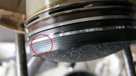 IMG_2210klein.jpg IMG_2210klein.jpg