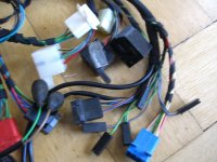 comp_CIMG7409.jpg