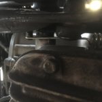 IMG_0766.jpg