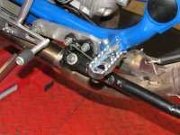 IMG_4738[1].jpg