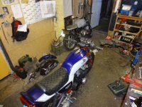 DSC01580.jpg