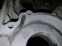20170130_122513.jpg