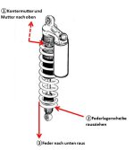 Federausbau_WP Sportfederbein.jpg