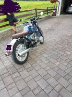 IMG_3177.jpg