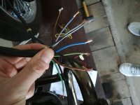 IMG_20170312_172135.jpg