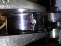 DSC01078 (Medium).JPG