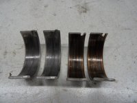 DSC01082 (Medium).JPG