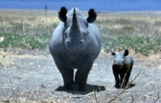 image7021a.jpg image7021a.jpg