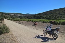 IMG_9393.jpg