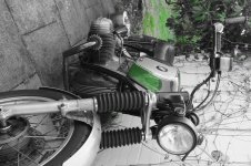 DSCF5246.jpg