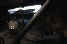 IMG_0036.jpg