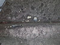 20170125_004112.jpg