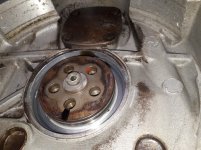 20170408_194125.jpg