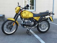 R80Kuh-gold-klein.jpg
