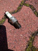IMG_20170610_122946.jpg