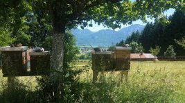 20170611_130658.jpg