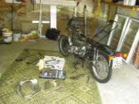 CIMG1416-2.jpg