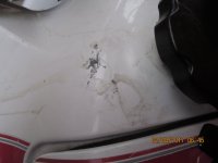 IMG_3569.jpg IMG_3569.jpg