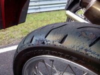 IMG_20170731_074208.jpg