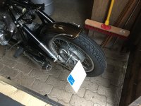 IMG_7004.jpg