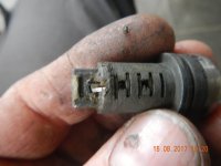 DSCN4116.jpg