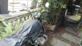 IMG_20170911_115515.jpg