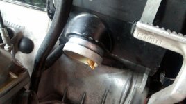 IMG_20170926_175506233.jpg