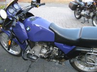 Lila Kuh 025.jpg