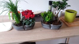 20171109_122644.jpg