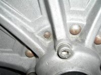 PICT1597s.JPG