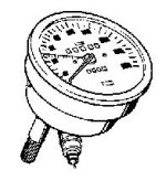 Image7.jpg