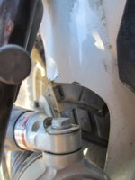 IMG_2723.jpeg