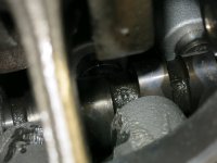 IMG_3957.jpg