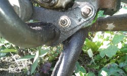 20150829_094452.jpg