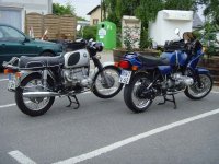 SNV31355rr.jpg
