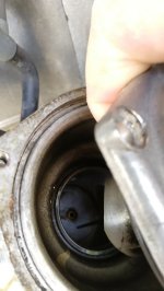 IMG_20180423_080357_1.jpg
